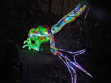 Sharrow Lantern Carnival
