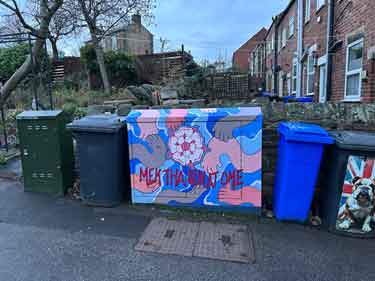 Mek tha sen at ome [make yourself at home] mural on street BT cabinet, Duncombe Street
