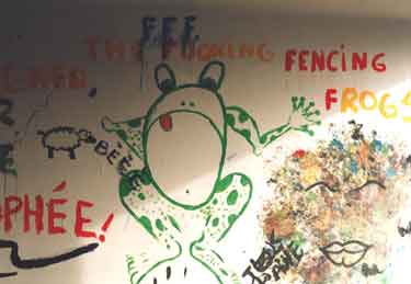 Graffiti about the World Student Games, Hyde Park Flats
