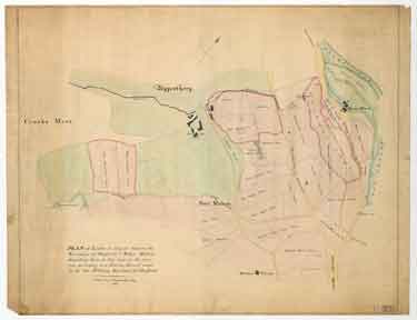 Plan of lands in dispute between the townships of Sheffield and Nether Hallam describing them as they were in the year 1783 according to a survey thereof made by the late William Fairbank of Sheffield
