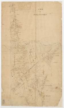 Map of the Race Common, Barnsley, [1778]