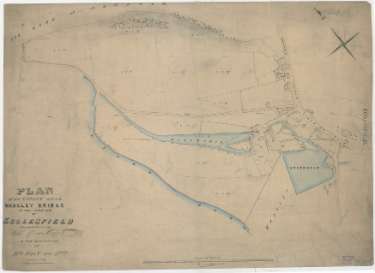 Plan of an estate near Wadsley Bridge in the parish of Ecclesfield belonging to the Duke of Norfolk in the occupation of Mrs Holt and others