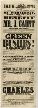 Theatre Royal playbill: Green Bushes, etc., 10 Feb 1858