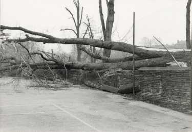Gale damage, City General Hospital and (later known as the Northern General Hospital), Fir Vale