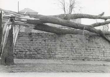 Gale damage, City General Hospital and (later known as the Northern General Hospital), Fir Vale
