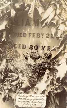 Birds nesting in an old wreath on a gravestone in the General Cemetery