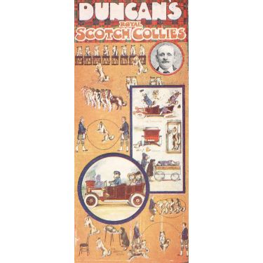 Postcard advertising Duncan's Royal Scotch collies