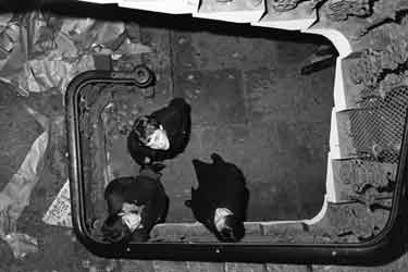 Cabaret Voltaire - in Western Works