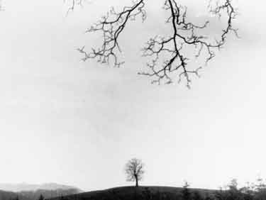 Sheffield rural view