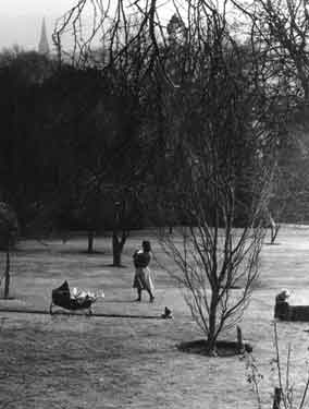 Woman in park with pram