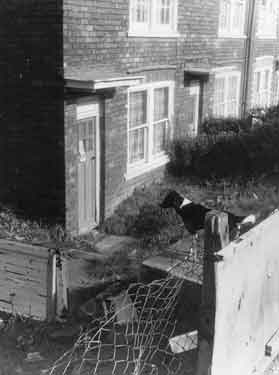 Dog in the garden of unidentified housing