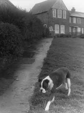Unidentified housing