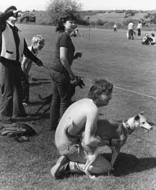 7th National Whippet Racing Championships, Swallownest