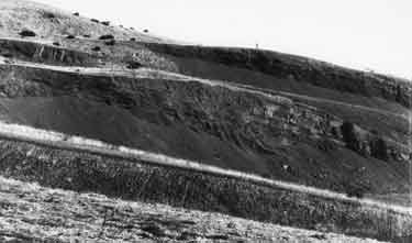 Unidentified landscape