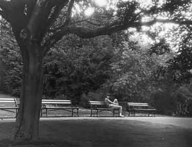 Benches in a Sheffield park
