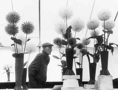 A Sheffield flower show