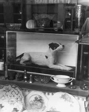 Stuffed dog in window of antiques shop