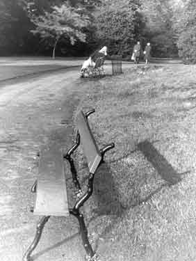 Benches in a Sheffield park