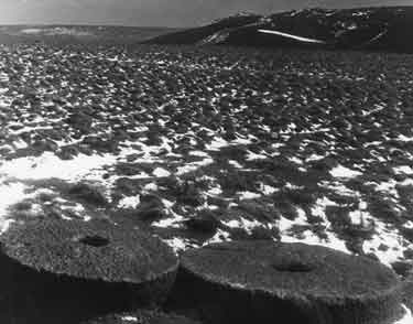 Millstones during winter
