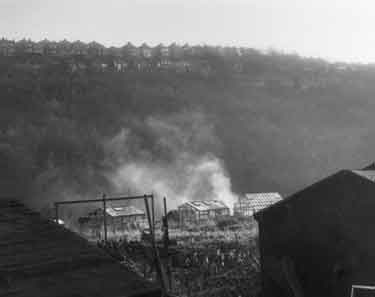 Unidentified allotments