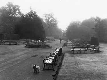 Benches in the Botanical Gardens
