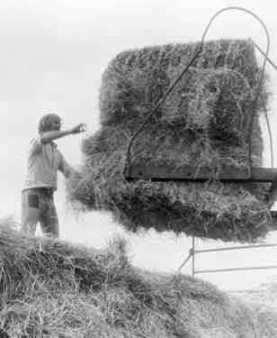 Hay stacking