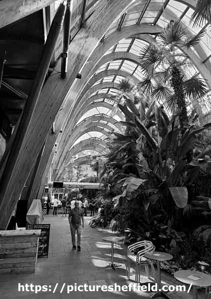 Sheffield Photographic Society Collection: Winter Garden, Surrey Street