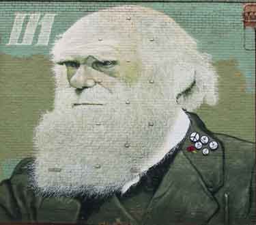 Sheffield Photographic Society Collection: Charles Darwin mural by Rocket01, Sidney Street