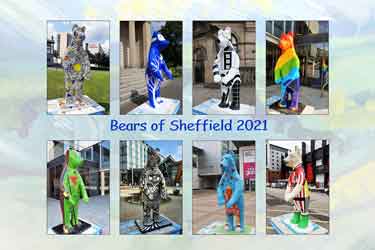 Sheffield Photographic Society Collection: Bears of Sheffield, 2021