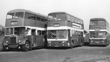 Buses belonging to T Severn and Sons of Bootham Lane, Dunscroft.