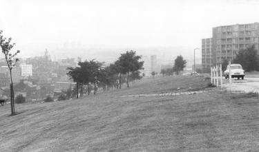 South Street Park, showing (right) Park Hill Flats