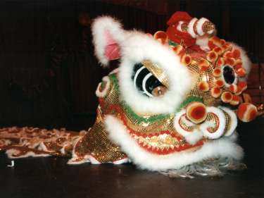 The Year of the Tiger, Sheffield Chinese New Year Celebration, Octagon Centre, Western Bank