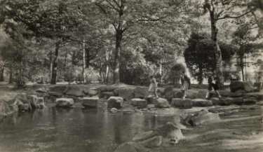 Stepping stones, Endcliffe Woods 