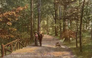 A ramble in Whiteley Woods, Sheffield