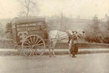 Horse and delivery cart, Wells, Empson and Co., [of No. 34 Charlotte Street, Sheffield]
