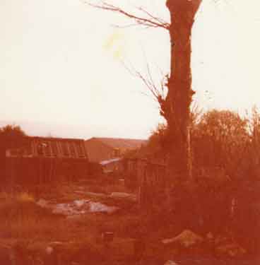 Former cottages later incorporated into the Rose and Crown public house, No. 21 Stour Lane