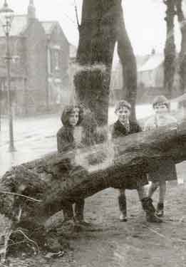 Possibly Watchorn Family group