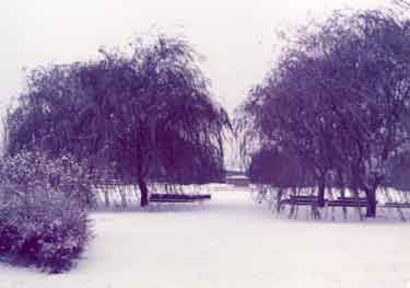Hiil Top Cemetery, Attercliffe Common