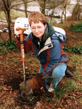 Diane Gascoyne, tree planting possibly in Crookes Valley Park
