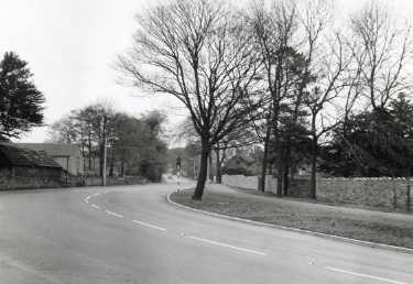 Norton Lane at Norton House bend