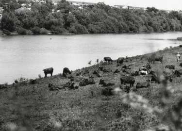 Donetsk collection: The village of Granitnoye
