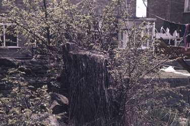 Quaker burial ground, Handsworth