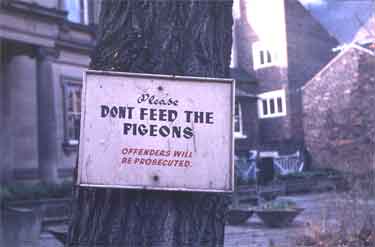 Please don't feed the pigeons, offenders will be prosecuted sign, Upper Chapel yard, Norfolk Street