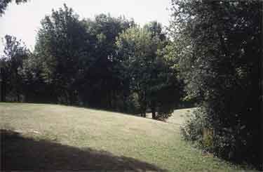 Barber's Field, [The Dale], Woodseats