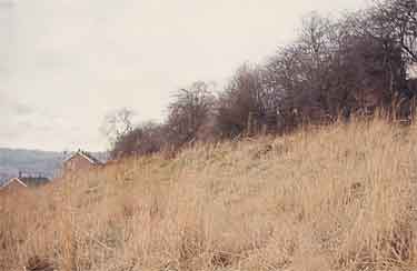 Barber's Field, Woodseats