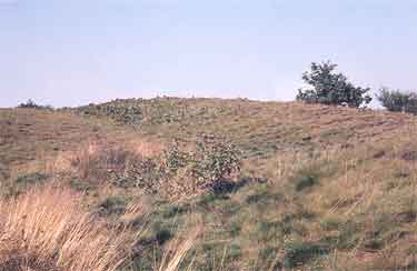 Site of Roman hill fort on Wincobank Hill