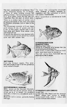 Information brochure by J. R. Mitchell on City of Sheffield Castle Square Aquarium, Castle Square (also known as the Hole In the Road)
