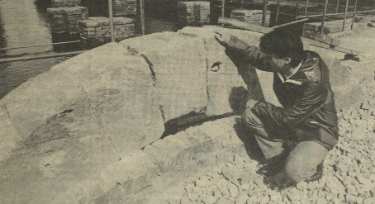 Dave Balcombe, conservation expert, checking stonework of a wheel pit / mill race, dating from the 12th century, uncovered on the site of the former Britannia Flour Mill