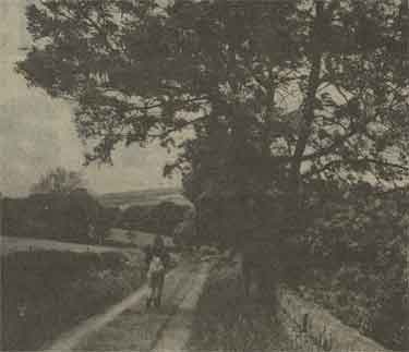 Karen Radford of Sheffield City Council's Public Rights of Way Unit on Plumpton Lane, Low Bradfield