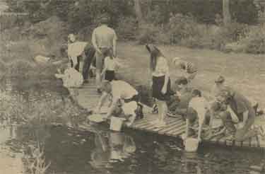 Children visiting Wood Lane House Farm [Countryside Centre, Wood Lane], Stannington
